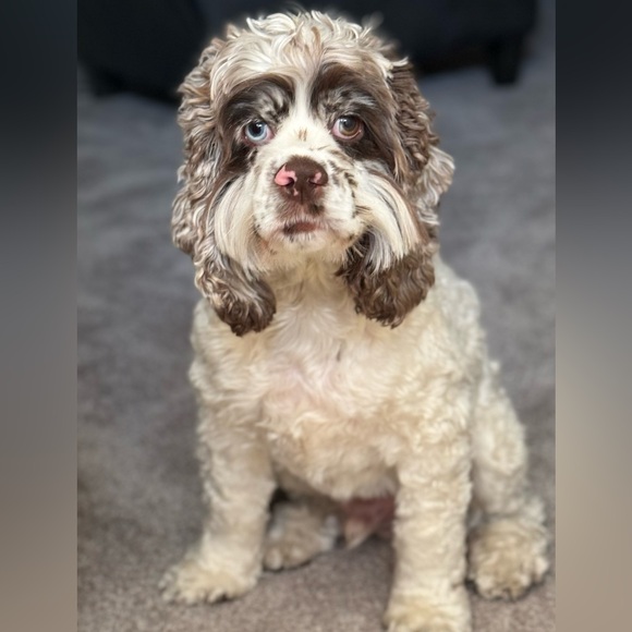 @Feelgooddogood is Live! Live Show Listing Like to be Notified When I Go Live - Picture 3 of 14